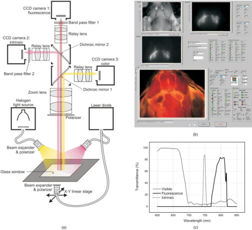 Real Time Intraoperative Fluorescence Imaging System Using Light