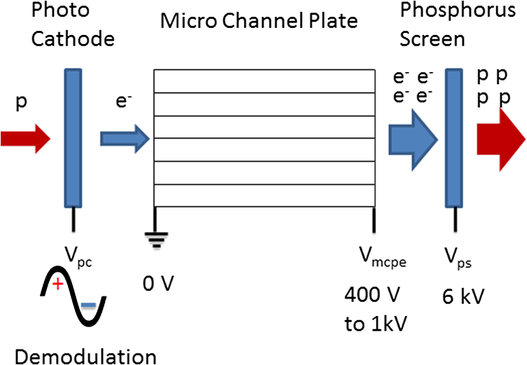 modulated electron-multiplied fluorescence lifetime imaging