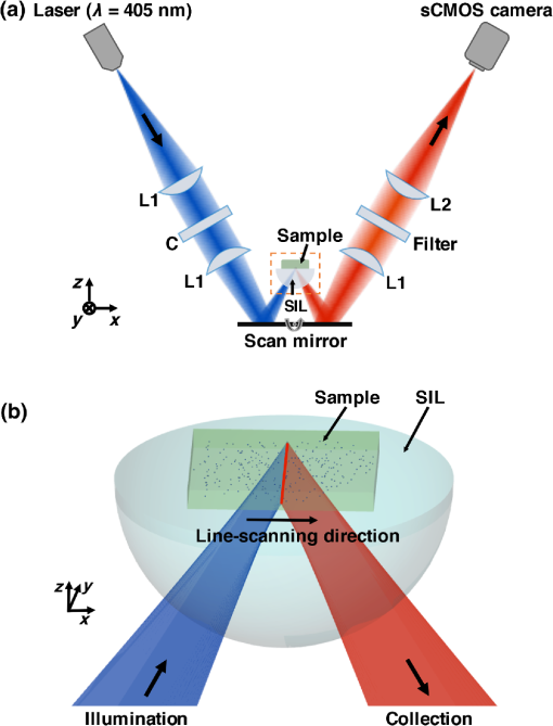 Optical Sectioning Microscopy Of Protoporphyrin Ix Fluorescence In