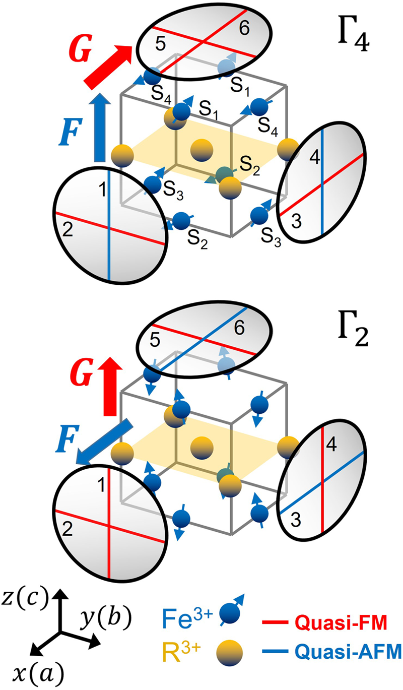 Terahertz Spin Dynamics In Rare Earth Orthoferrites