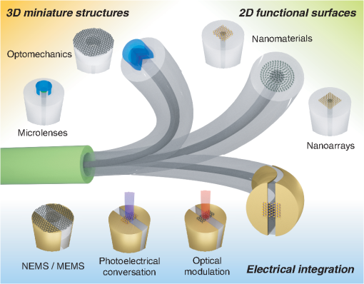 Optical fiber meta-tips  Light: Science & Applications