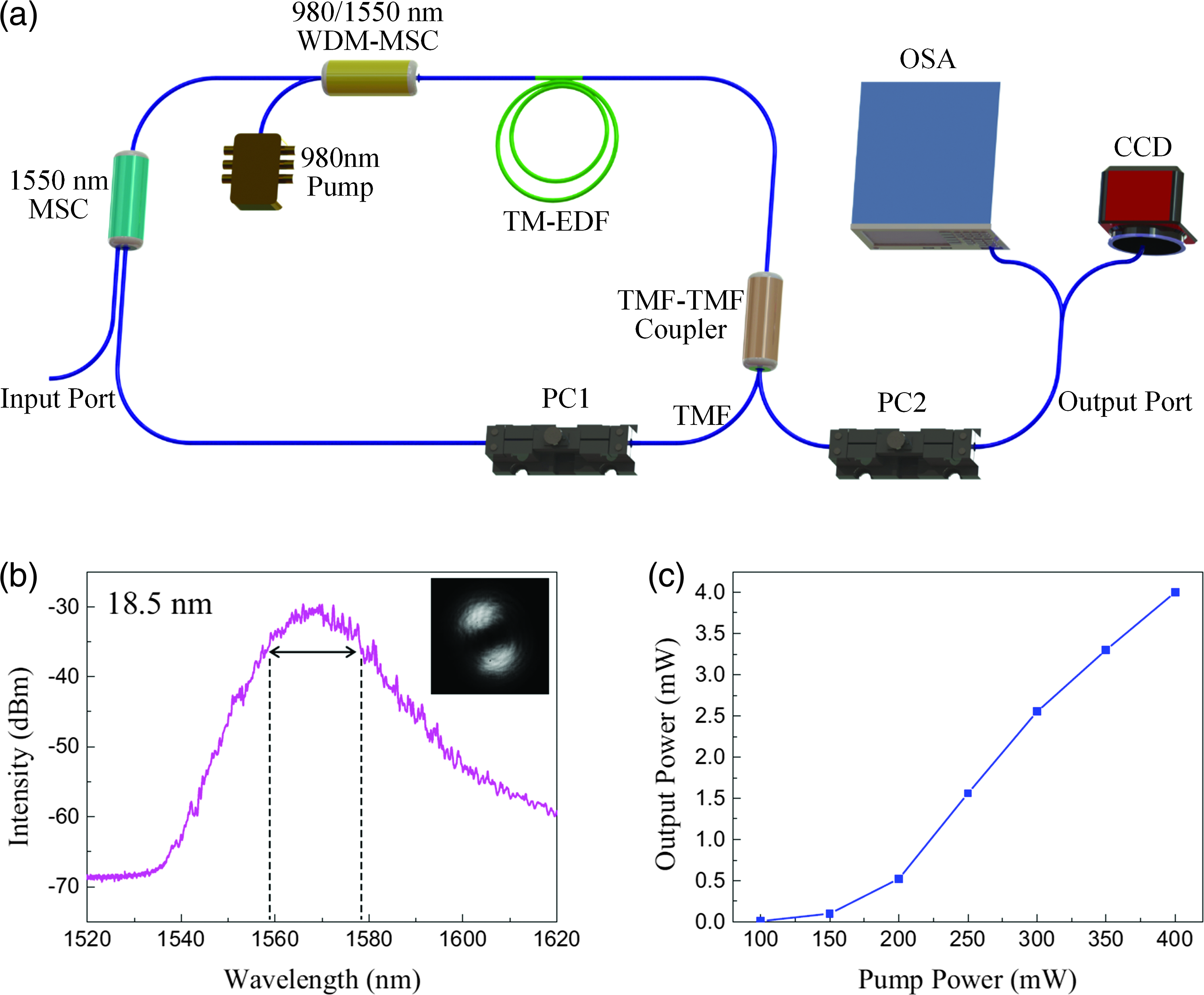 Generation Of Polarization And Phase Singular Beams In Fibers And Fiber ...