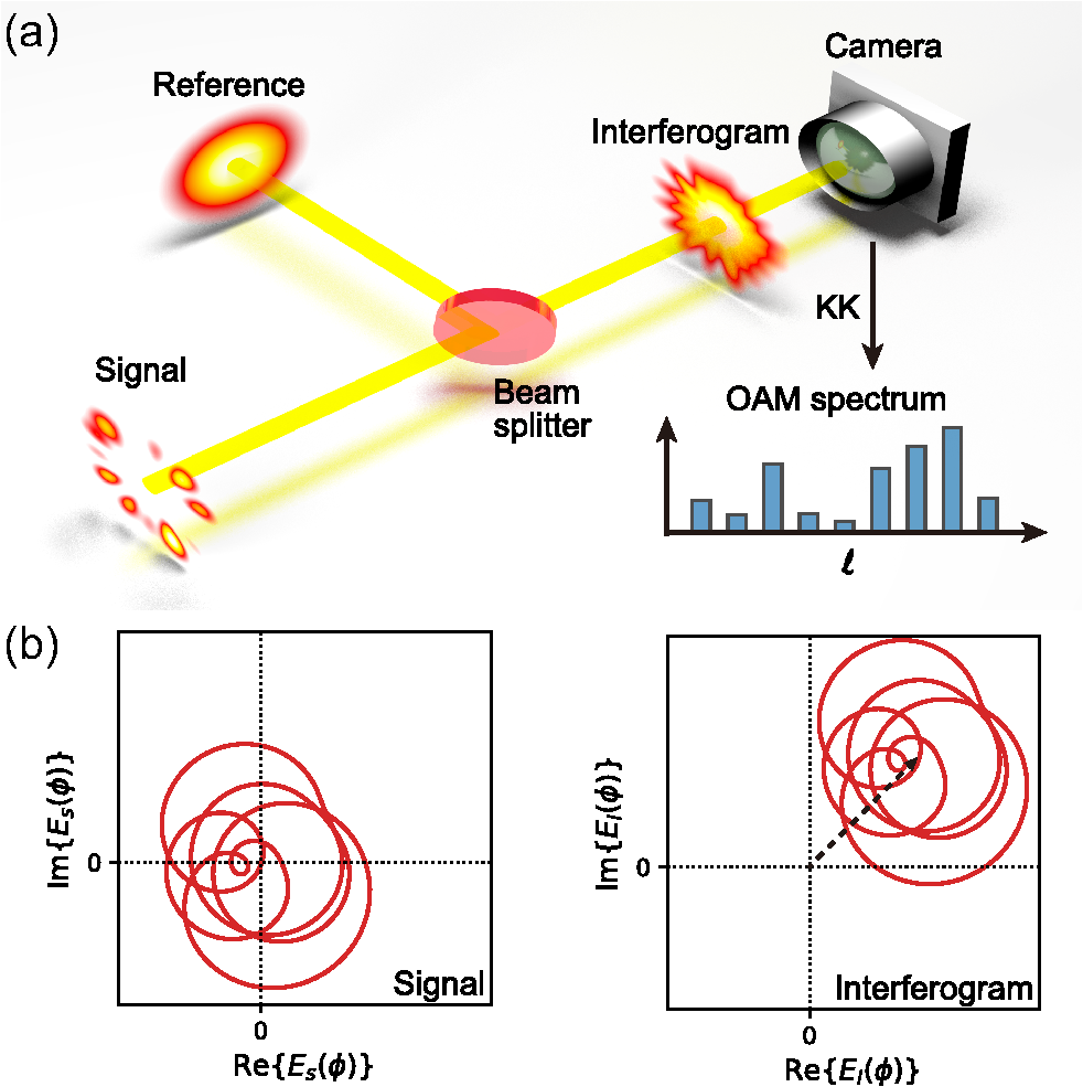 Single-shot Kramers–Kronig Complex Orbital Angular Momentum Spectrum ...