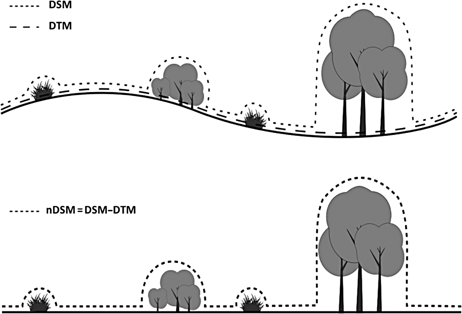 dsm digital terrain model