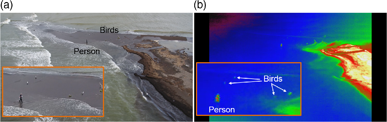 Underwater And Airborne Monitoring Of Marine Ecosystems And Debris