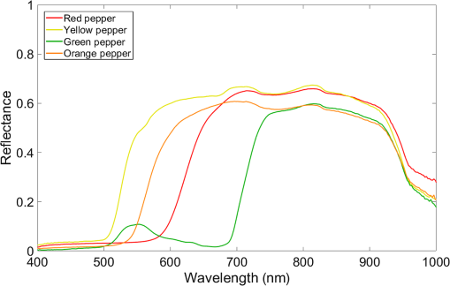 Monitoring of fruit freshness using phase information in polarization  reflectance spectroscopy