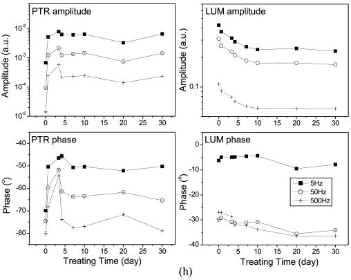 Detection of interproximal demineralized lesions on human teeth in ...