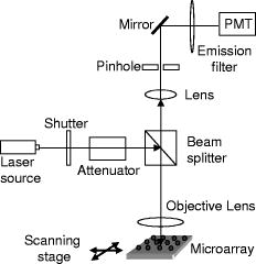 Optimization of fluorescence enhancement for silicon-based microarrays