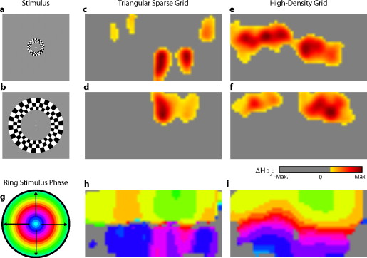 Quantitative evaluation of high-density diffuse optical tomography: in ...