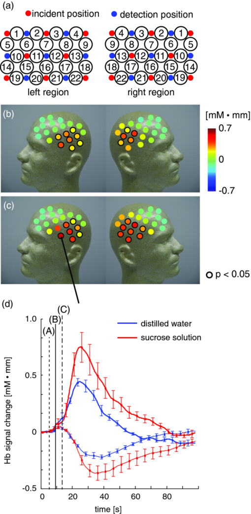 Application Of Near Infrared Spectroscopy To Measurement Of Hemodynamic Signals Accompanying Stimulated Saliva Secretion