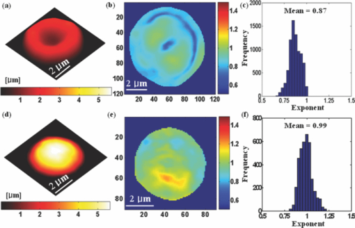 Detrended fluctuation analysis of membrane flickering in discocyte and ...