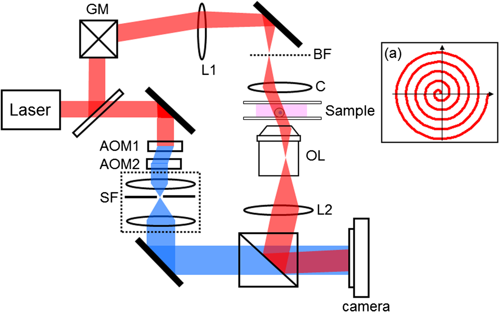 Three-dimensional differential interference contrast microscopy using ...