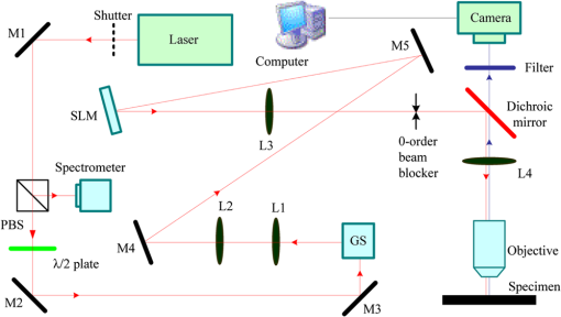 Addressable multiregional and multifocal multiphoton microscopy based ...