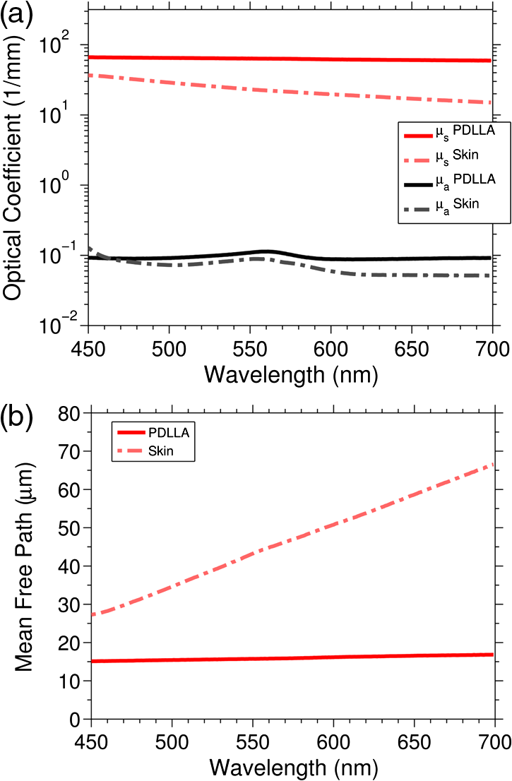 Scanning Fiber Based Imaging Method For Tissue Engineering