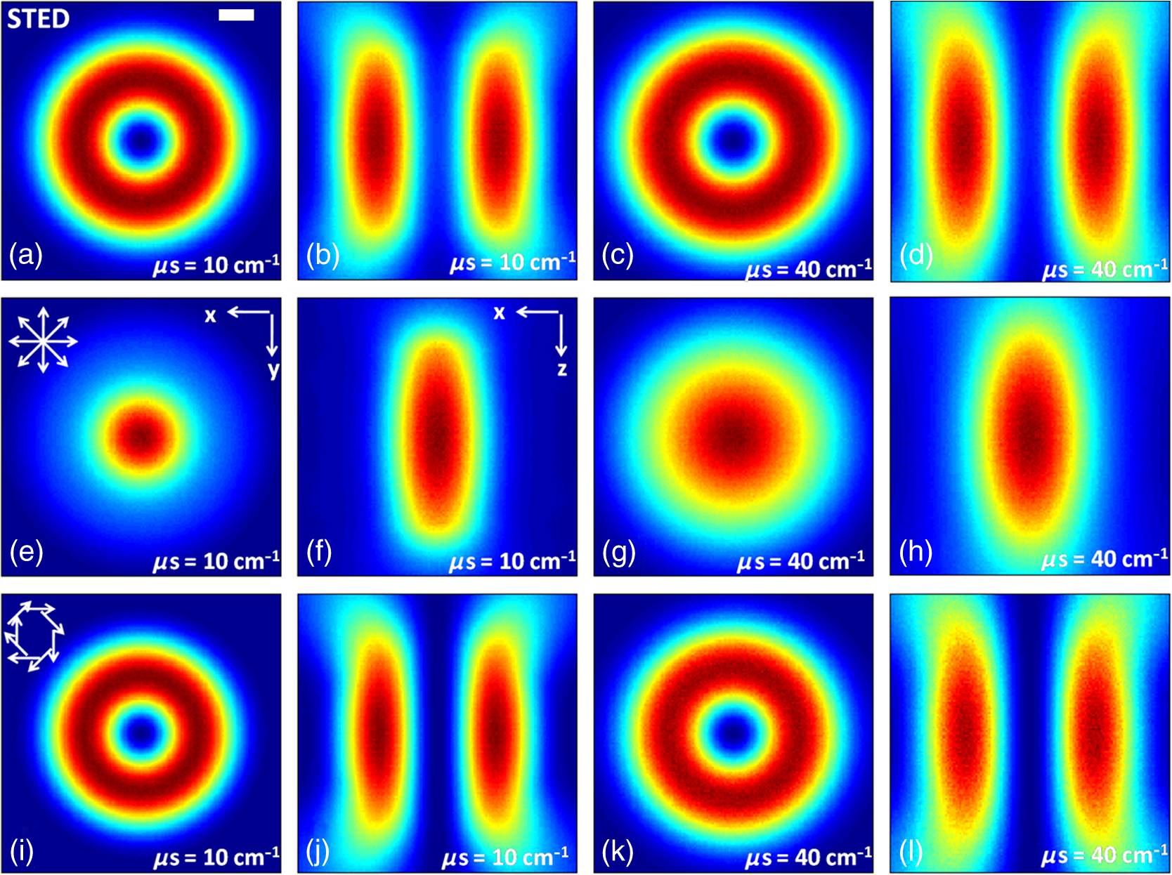 Electric field Monte Carlo simulation of focused stimulated emission ...