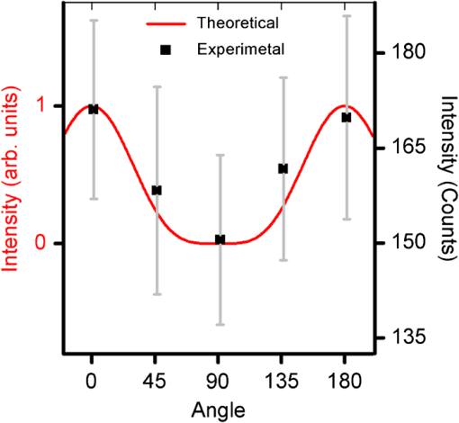 Polarized Raman Spectroscopic Investigations On Hemoglobin Ordering In Red Blood Cells