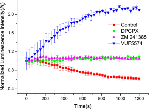 Measuring the of cyclic adenosine level in living cells induced by low-level laser using bioluminescence resonance energy transfer