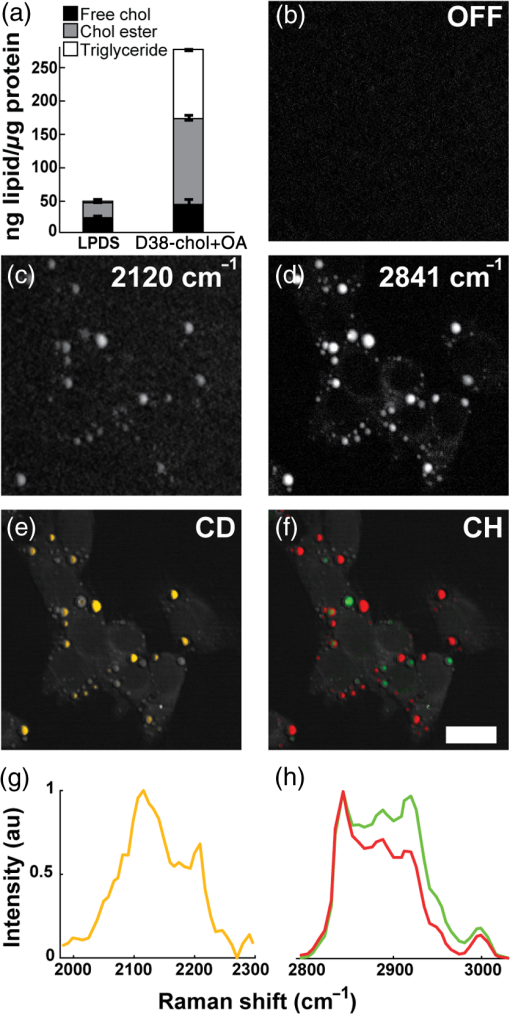 D38-cholesterol as a Raman active probe for imaging intracellular ...