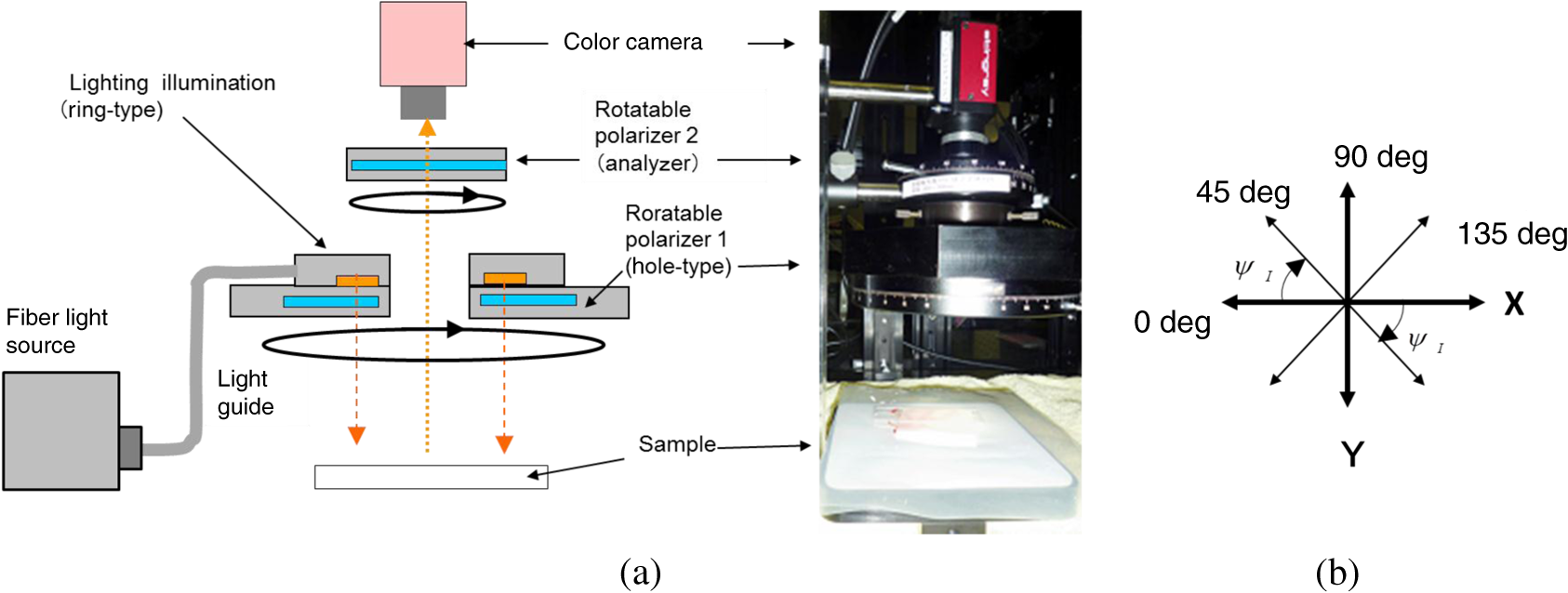 Averaged subtracted polarization imaging for endoscopic diagnostics of ...