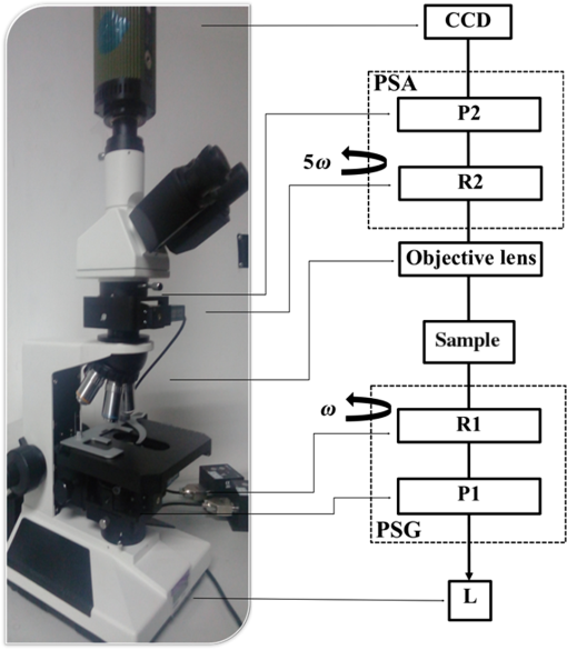 Mueller Matrix Microscope: A Quantitative Tool To Facilitate Detections ...