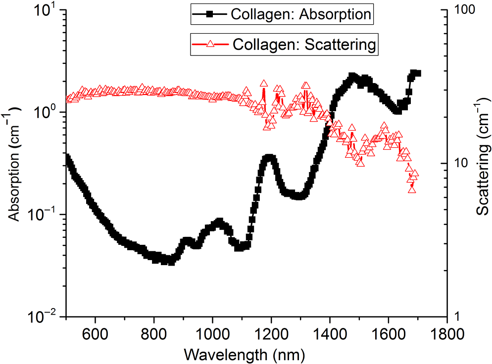 absorb how collagen to absorption characterization optical Diffuse of collagen