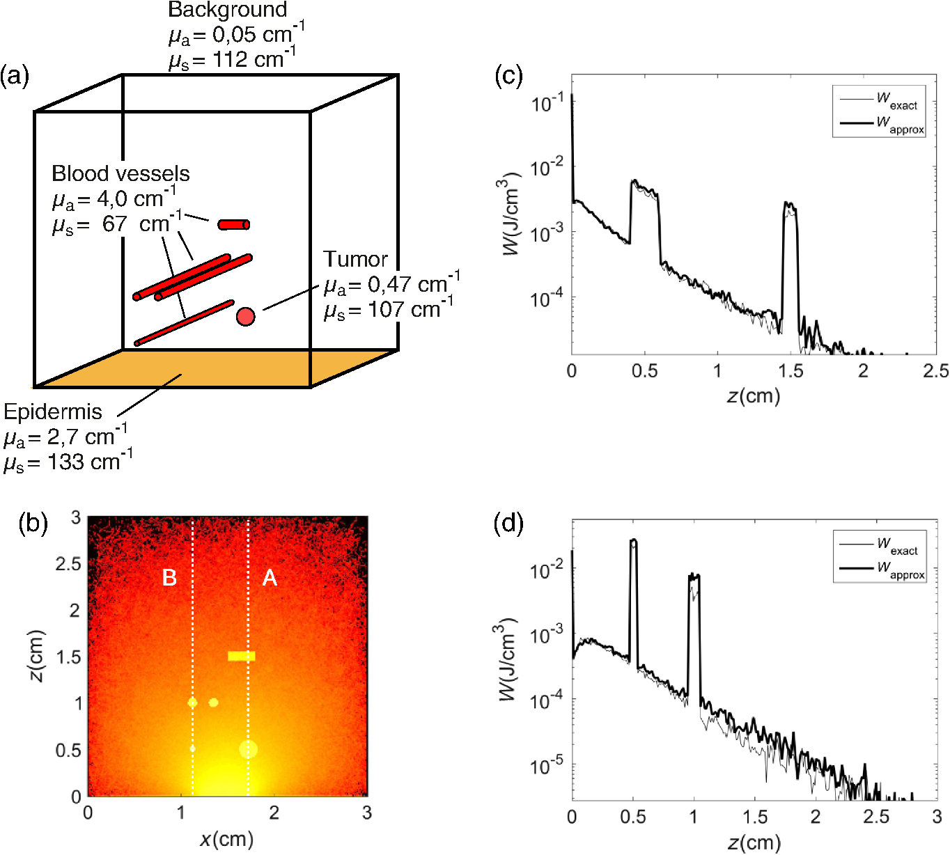 Modeling Photoacoustic Imaging With A Scanning Focused Detector Using Monte Carlo Simulation Of Energy Deposition