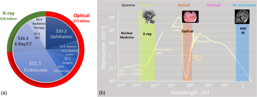 Optical And X Ray Technology Synergies Enabling Diagnostic - 