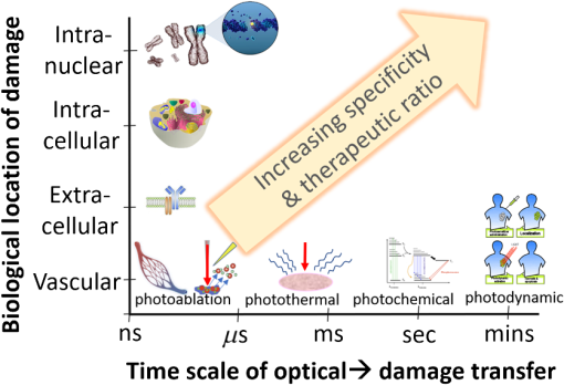 Optical And X Ray Technology Synergies Enabling Diagnostic - 