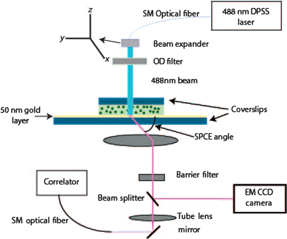 Surface plasmon-assisted microscope