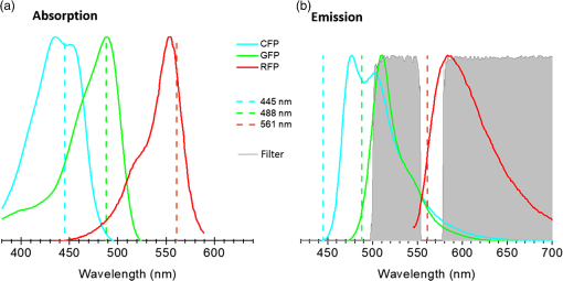 Multicolor fluorescence microscopy using static light sheets and a ...