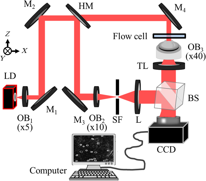 Three-dimensional Quantitative Phase Imaging Of Blood Coagulation 