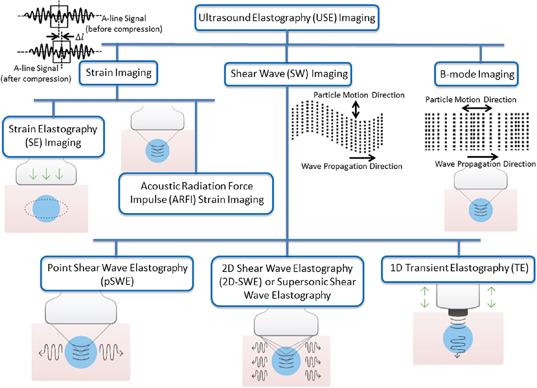 Photoacoustic Elastography Imaging: A Review