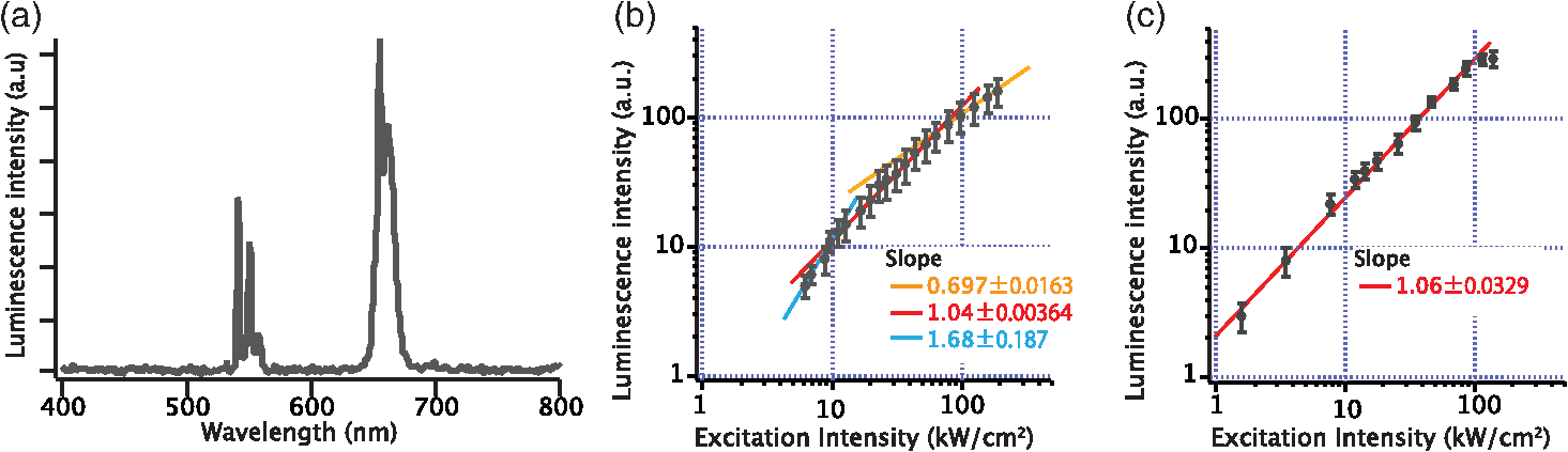 Excitation Of Erbium Doped Nanoparticles In 1550 Nm Wavelength Region For Deep Tissue Imaging With Reduced Degradation Of Spatial Resolution