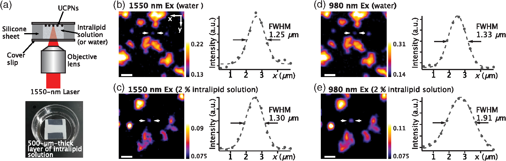 Excitation Of Erbium Doped Nanoparticles In 1550 Nm Wavelength Region For Deep Tissue Imaging With Reduced Degradation Of Spatial Resolution