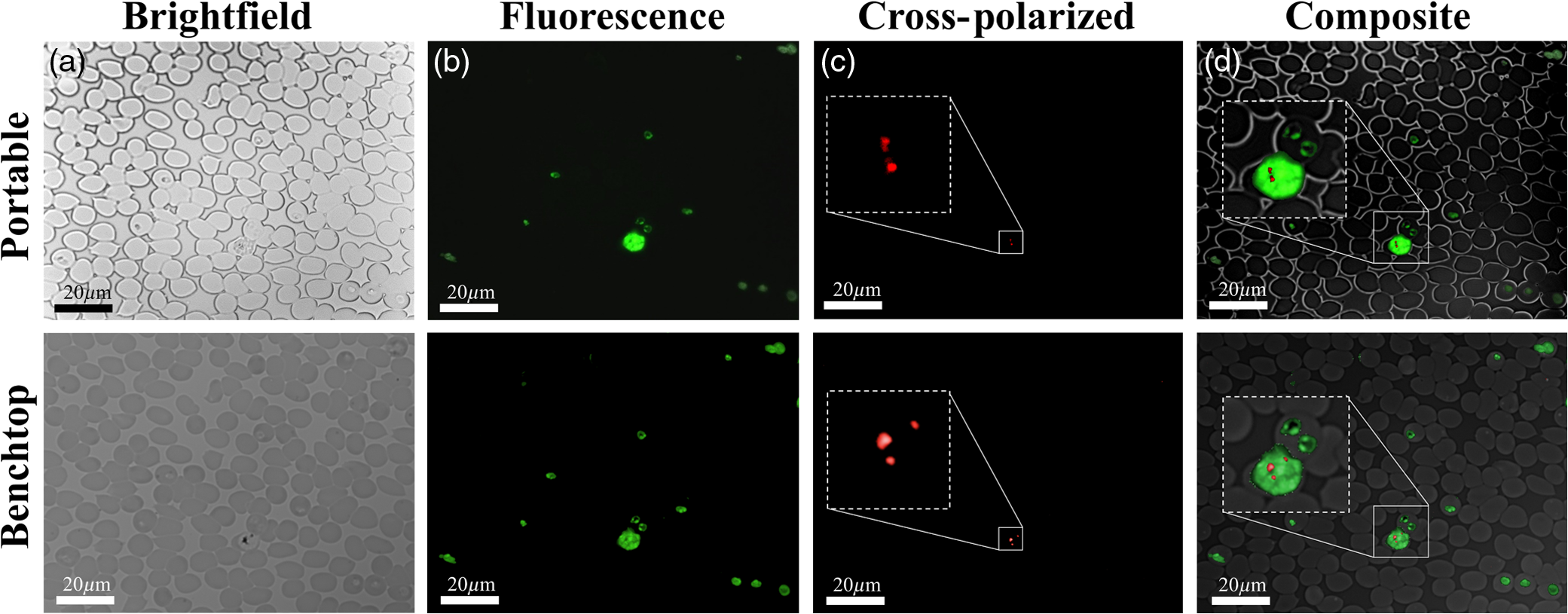 mac software for viewing fluorescence data