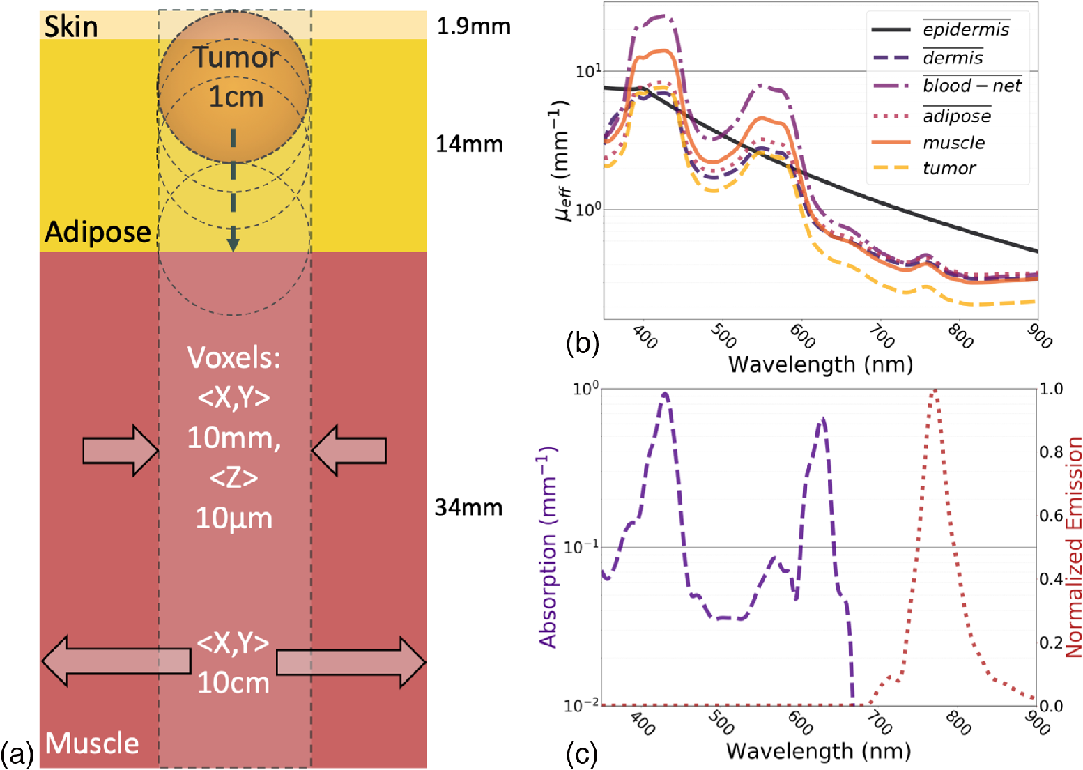 Theoretical Lateral And Axial Sensitivity Limits And Choices Of Molecular Reporters For Cherenkov Excited Luminescence In Tissue During X Ray Beam Scanning