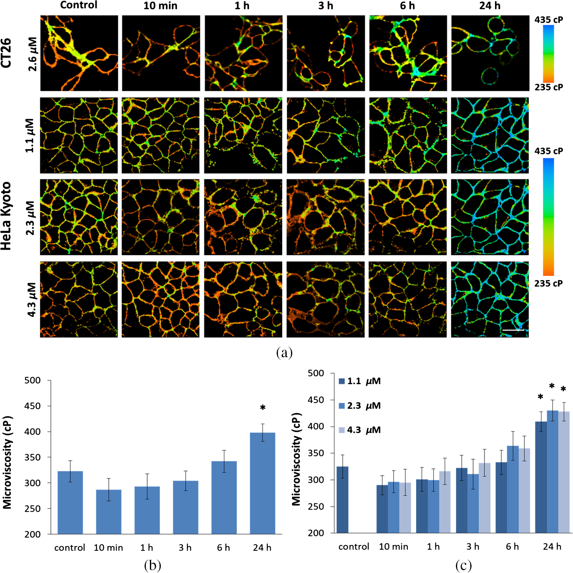 Mapping Cisplatin Induced Viscosity Alterations In Cancer Cells Using Molecular Rotor And Fluorescence Lifetime Imaging Microscopy