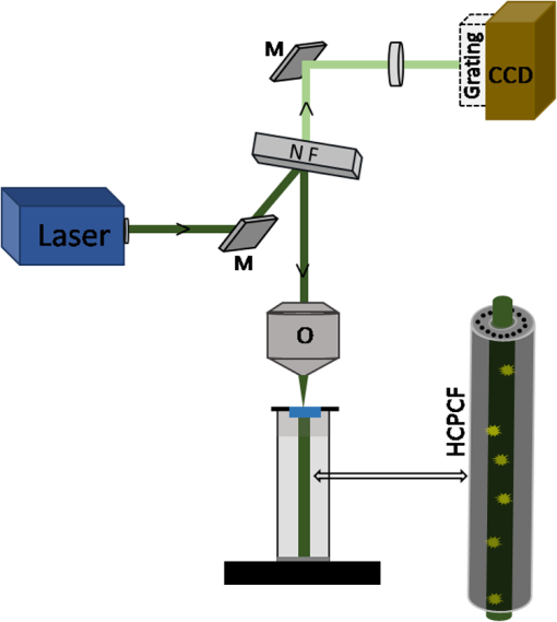 Hollow Core Photonic Crystal Fiber-assisted Raman Spectroscopy As A ...