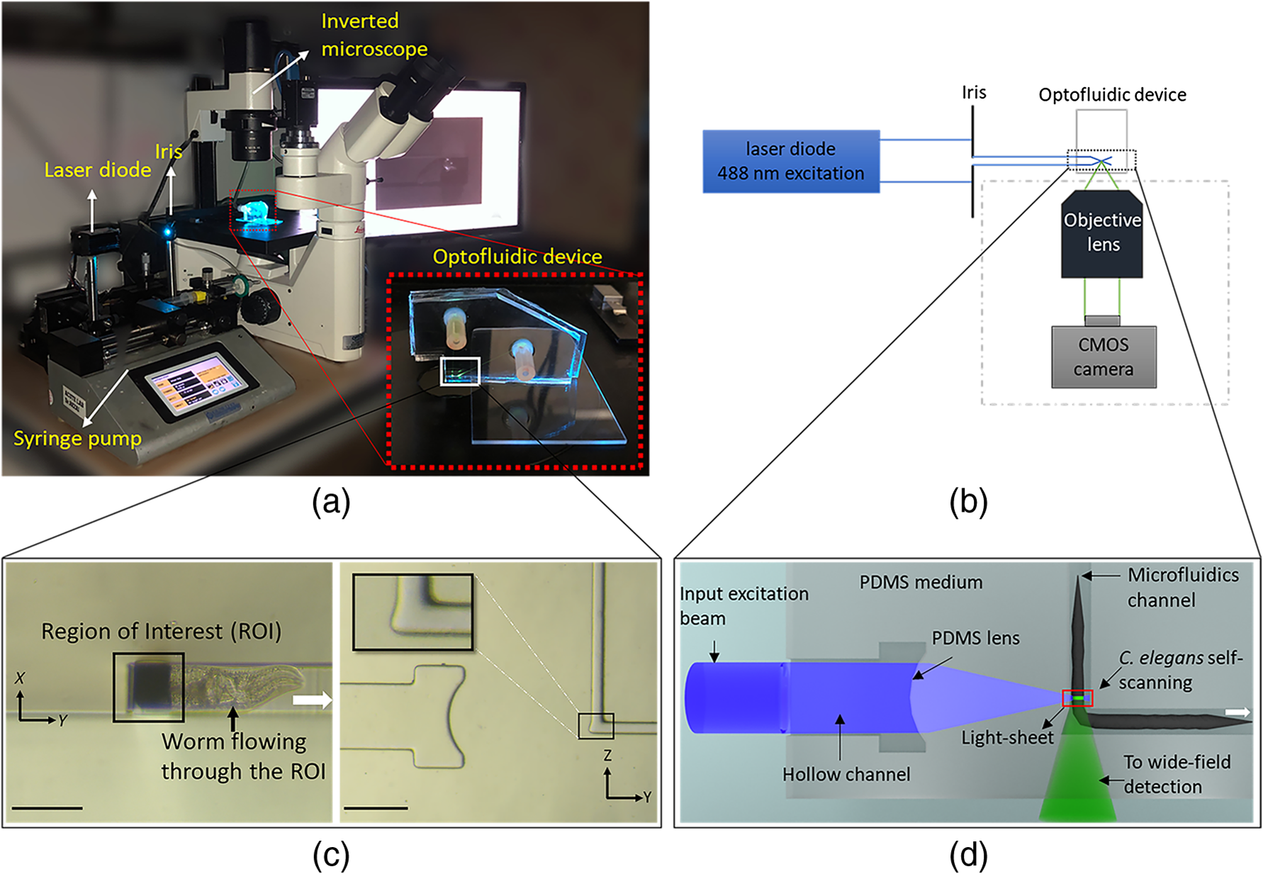 Low-cost optofluidic add-on enables rapid selective plane illumination ...