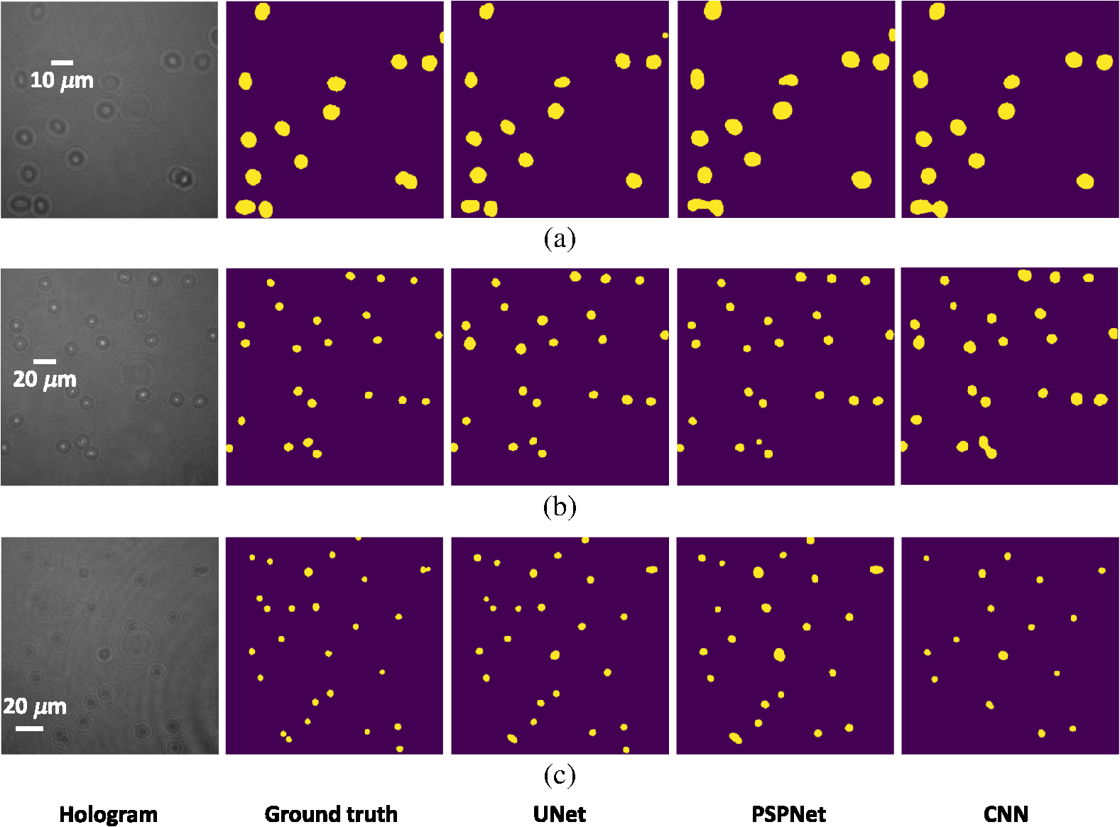 U-Net: deep learning for cell counting, detection, and morphometry