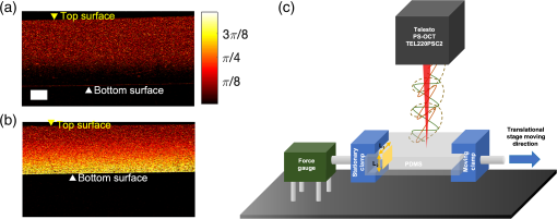 Birefringent tissue-mimicking phantom for polarization-sensitive ...