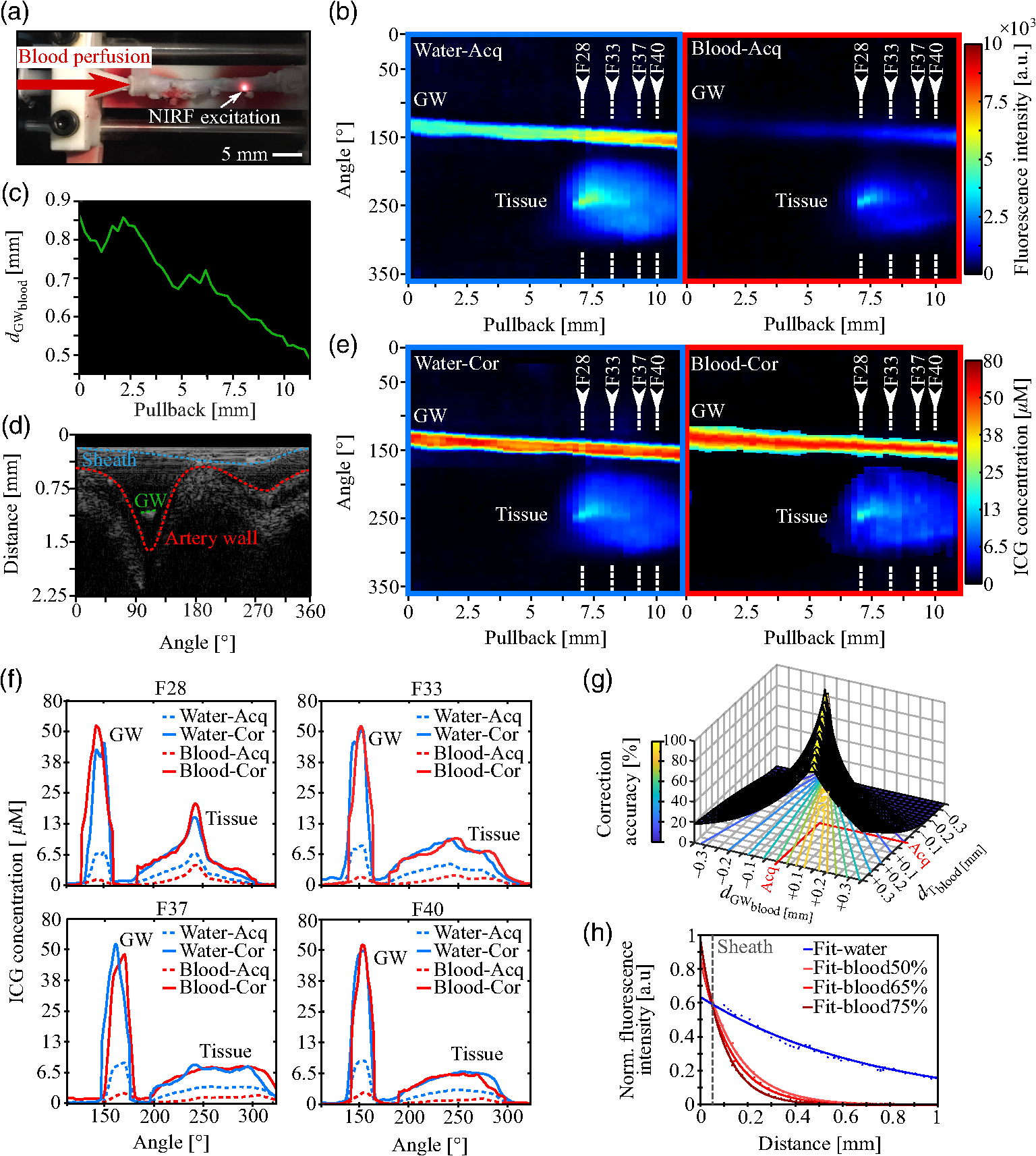 Accounting For Blood Attenuation In Intravascular Near-infrared ...