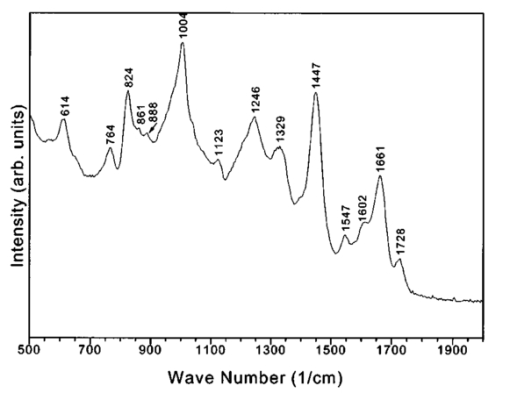 005302j.5.jpg