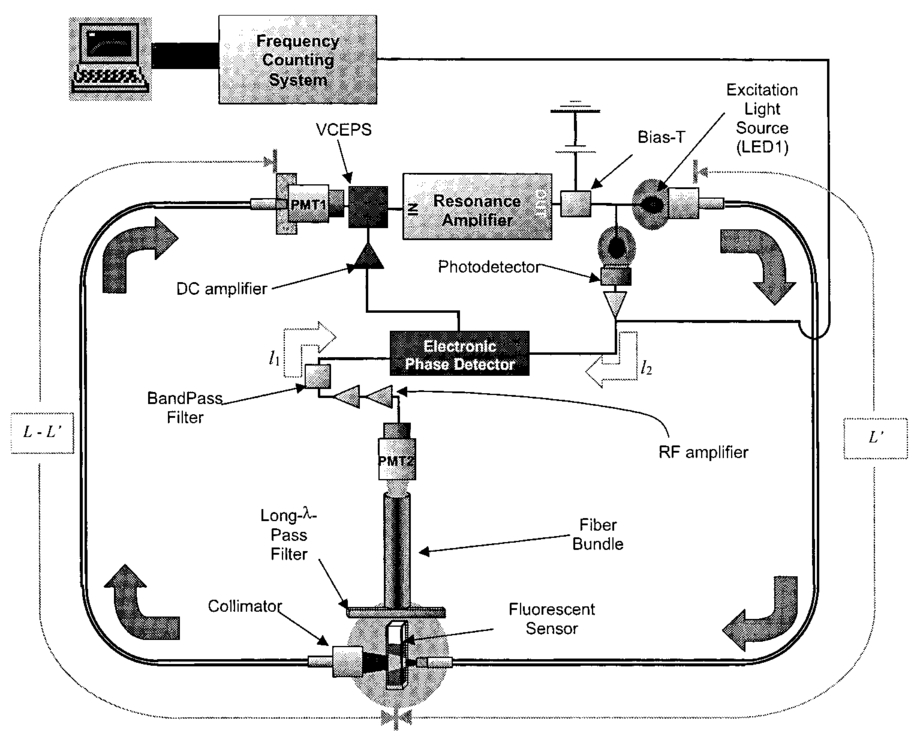 Dual closed-loop, optoelectronic, auto-oscillatory detection circuit ...