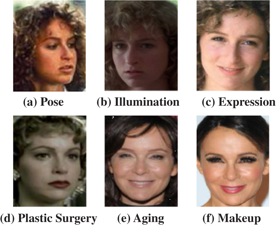 Face Recognition Across Makeup And Plastic Surgery From Real World Images