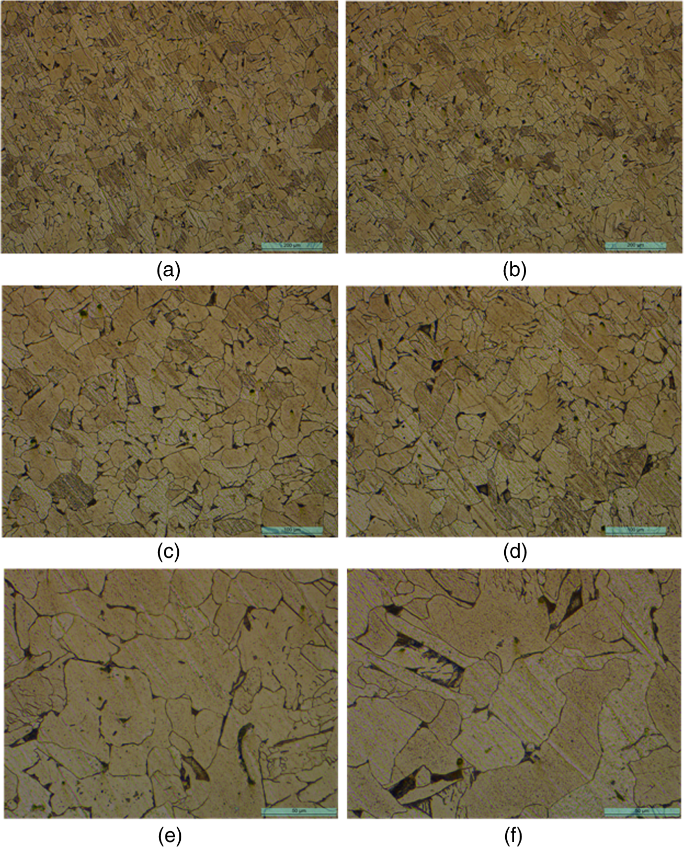 Processing And Refinement Of Steel Microstructure Images For - 