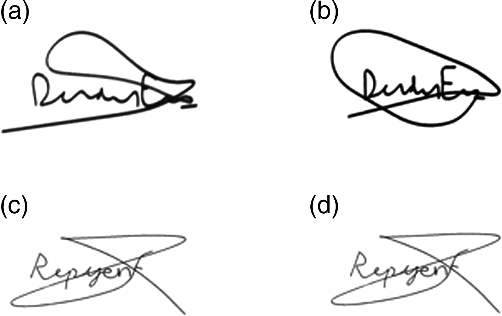 signatures samples c
