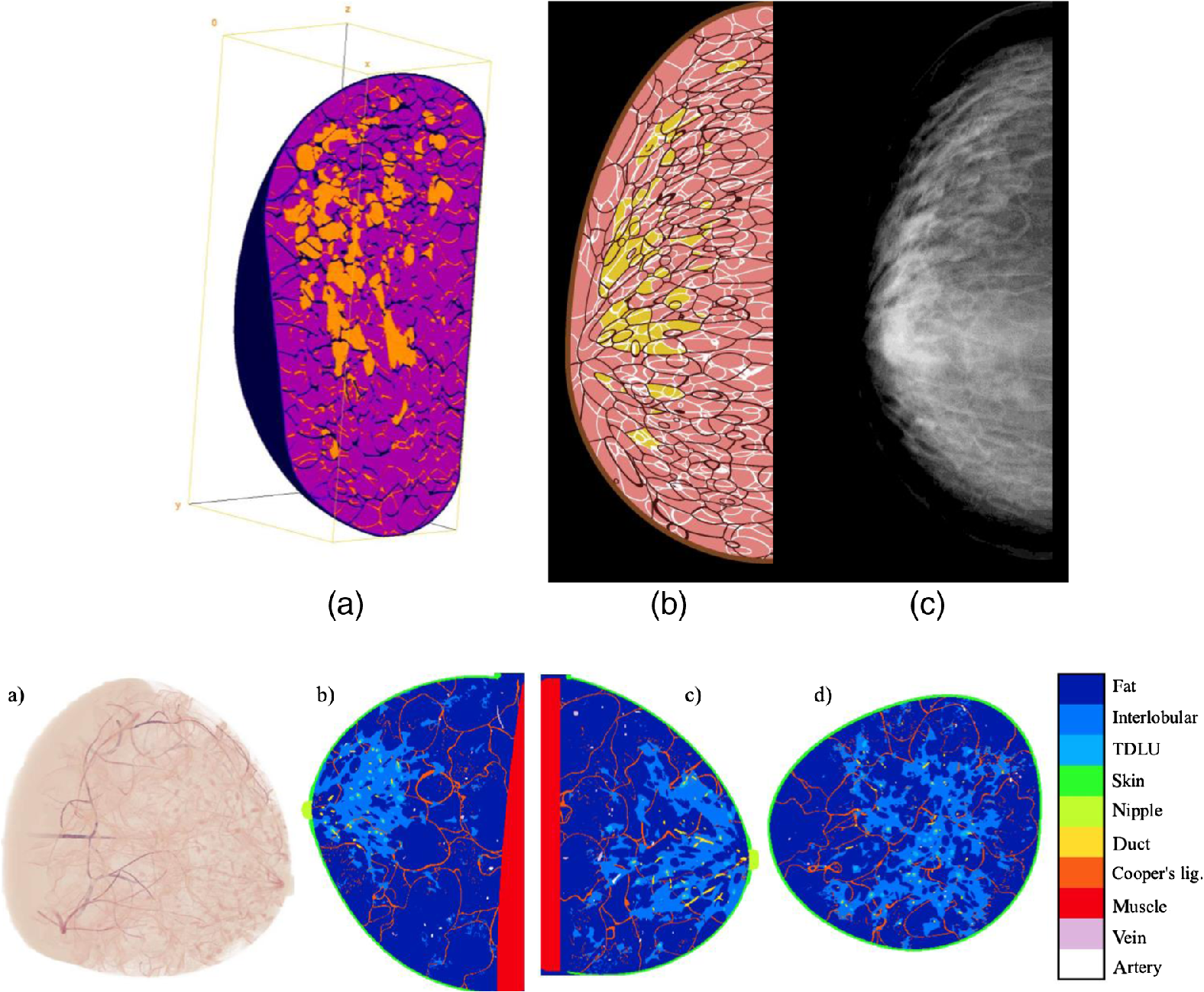 Virtual Clinical Trials In Medical Imaging A Review