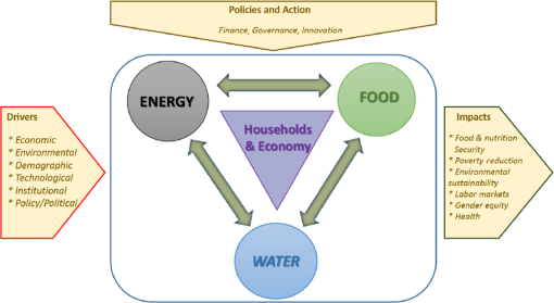 Opening up' the governance of water-energy-food nexus: Towards a