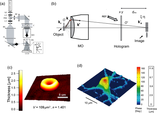 Review of quantitative phase-digital holographic microscopy: promising ...